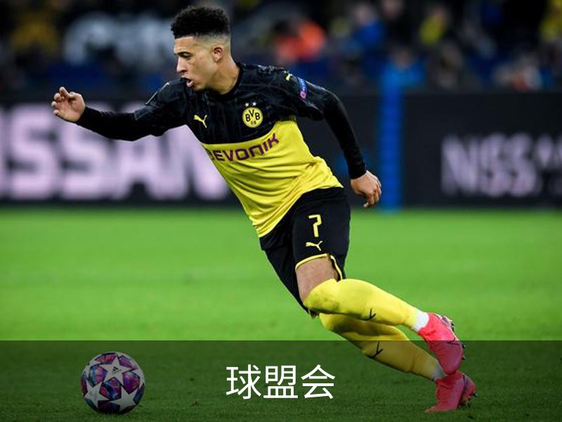 关于球盟会